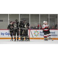 Hershey Bears celebrate win