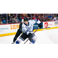 Victoria Royals' Matthew Hodson in action