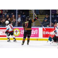 Vancouver Giants' Matthew Edwards on game night