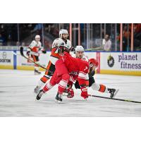 Allen Americans left wing Colton Hargrove battles the Kansas City Mavericks