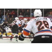 Lehigh Valley Phantoms Battle the Hershey Bears