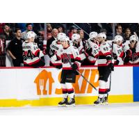 Belleville Senators celebrate win