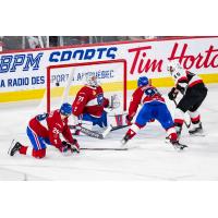 Laval Rocket battle the Belleville Senators