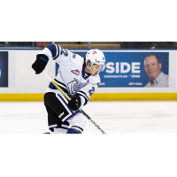 Victoria Royals left wing Teydon Trembecky