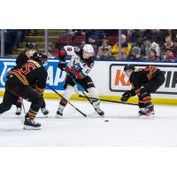 Kelowna Rockets left wing Adam Kydd handles the puck