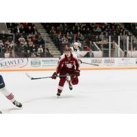 Peterborough Petes forward Owen Beck