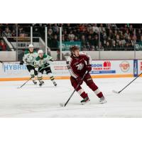 Peterborough Petes forward Owen Beck