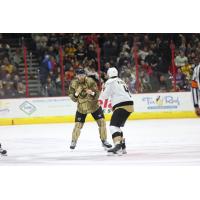 Cincinnati Cyclones' Sean Allen battles Newfoundland Growlers' Simon Kubicek