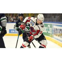 South Carolina Stingrays' Michael Kim in action