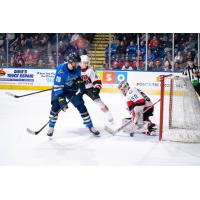 Springfield Thunderbirds' Anthony Angello and Belleville Senators' Logan Flodell on game night