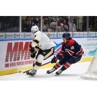 Sarnia Sting's Nolan Dillingham versus Saginaw Spirit's Lincoln Moore