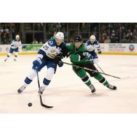 Colorado Eagles' Oskar Olausson Battles Texas Stars' Thomas Harley