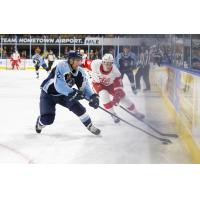 Milwaukee Admirals' Marc Del Gaizo Battles Grand Rapids Griffins' Matt Luff