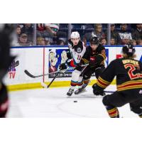 Kelowna Rockets' Carson Golder battles Vancouver Giants' Skyler Bruce