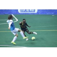 St. Louis Ambush take on the Monterrey Flash