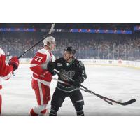 Grand Rapids Griffins defenseman Simon Edvinsson (left) vs. the Chicago Wolves