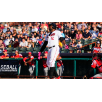 Tri-City ValleyCats designated hitter Denis Phipps