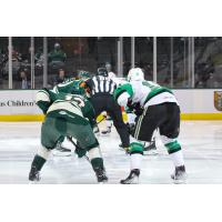 Texas Stars and Iowa Wild on game night