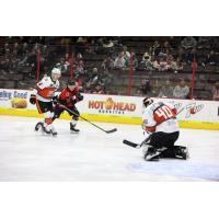 Kansas City Mavericks' Goalie Shane Starrett In Action