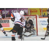 Lehigh Valley Phantoms' Louie Belpedio battles Hershey Bears' goaltender Zach Fucale