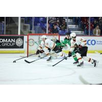 Vancouver Giants' Skyler Bruce Bruce and Ethan Semeniuk in action