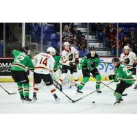 Vancouver Giants' Connor Dale and Ethan Semeniuk take on the Prince Albert Raiders