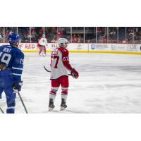 Hank Crone of the Allen Americans