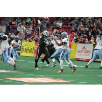 Linebacker James Brown with the Green Bay Blizzard