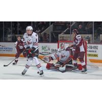 Peterborough Petes  battle the Niagara IceDogs