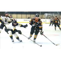 Wheeling Nailers' Peter Laviolette and Iowa Heartlanders' Justin Wells in action