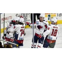 South Carolina Stingrays celebrate win