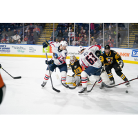 Springfield Thunderbirds' Matthew Peca in action