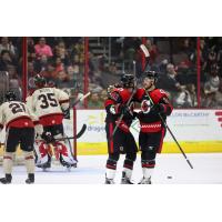 Cincinnati Cyclones celebrate win