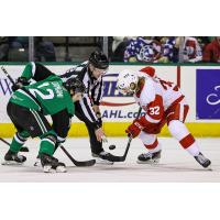 Texas Stars' Riley Damiani versus Grand Rapids Griffins' Tyler Spezia