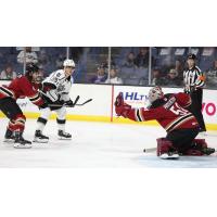 Tucson Roadrunners' Ivan Prosvetov in action