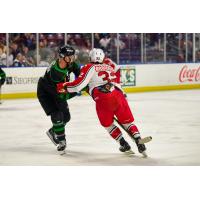 Allen Americans right wing Mikael Robidoux (right) vs. the Utah Grizzlies