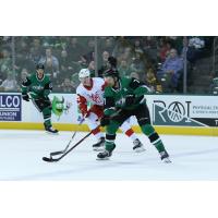 Texas Stars' Alex Petrovic and Grand Rapids Griffins' Elmer Soderblom in action