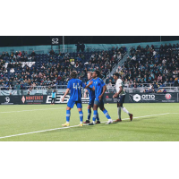 San Jose Earthquakes celebrate win