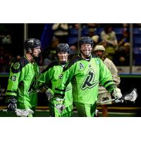 Saskatchewan Rush enjoying their recent fortune