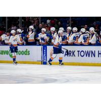 Saskatoon Blades celebrate win