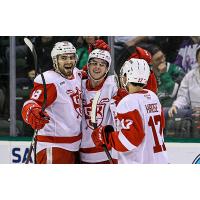 Grand Rapids Griffins celebrate a goal