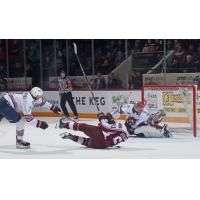 Peterborough Petes' Chase Stillman takes a fall