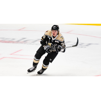 Forward Cameron Hough with the Wheeling Nailers