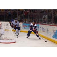 South Carolina Stingrays and the Greenville Swamp Rabbits on game night