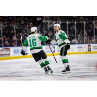 Texas Stars' Curtis McKenzie and Alexander Petrovic on game night