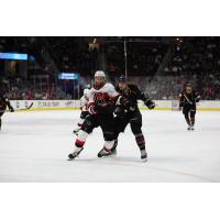 Belleville Senators battle the Cleveland Monsters