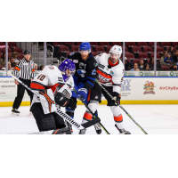 Kansas City Mavericks' goalie Shane Starrett in action