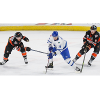 Wichita Thunder forward Timur Ibragimov vs. the Fort Wayne Komets