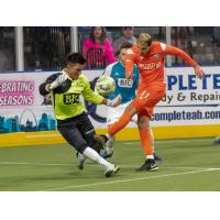 St. Louis Ambush' Niko Karidis battles Florida Tropics' Ricardo Carvalho