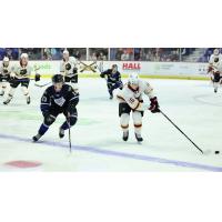 Victoria Royals' Marcus Almquist and Vancouver Giants' Will Subject on the ice